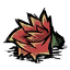 仙人掌花