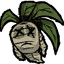 曼德拉草